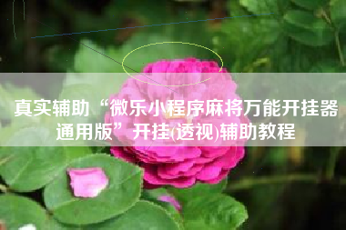 真实辅助“微乐小程序麻将万能开挂器通用版”开挂(透视)辅助教程 真实辅助“微乐小程序麻将万能开挂器通用版”开挂(透视)辅助教程