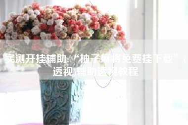 实测开挂辅助:“柚子麻将免费挂下载”(透视)辅助透视教程