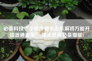 必备科技“小程序微乐山东麻将万能开挂器通用版”(曝光透视必备猫腻)