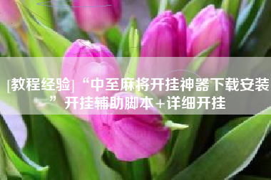 [教程经验]“中至麻将开挂神器下载安装”开挂辅助脚本+详细开挂