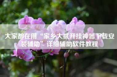 大家都在用“家乡大贰开挂神器下载安装辅助”详细辅助软件教程