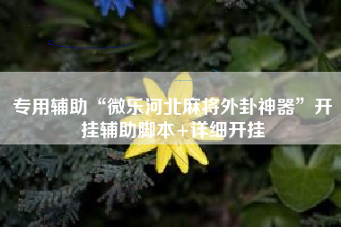 专用辅助“微乐河北麻将外卦神器”开挂辅助脚本+详细开挂