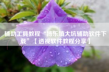 辅助工具教程“博乐填大坑辅助软件下载”【透视软件教程分享】