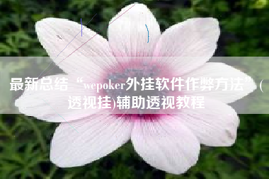 最新总结“wepoker外挂软件作弊方法”(透视挂)辅助透视教程