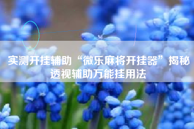 实测开挂辅助“微乐麻将开挂器”揭秘透视辅助万能挂用法