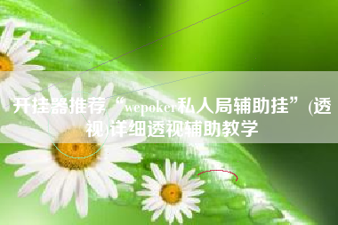 开挂器推荐“wepoker私人局辅助挂”(透视)详细透视辅助教学