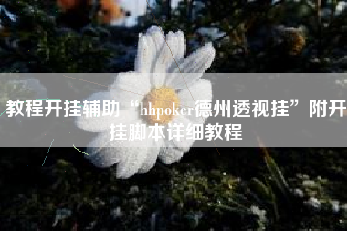 教程开挂辅助“hhpoker德州透视挂”附开挂脚本详细教程