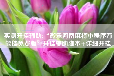 实测开挂辅助:“微乐河南麻将小程序万能挂免费版”开挂辅助脚本+详细开挂