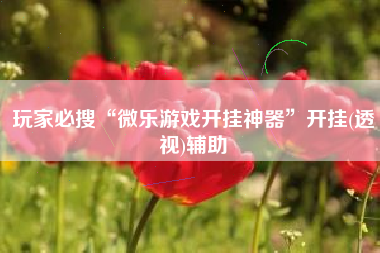 玩家必搜“微乐游戏开挂神器”开挂(透视)辅助