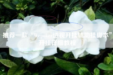 推荐一款“Wepoker透视开挂辅助挂脚本”开挂详细教程 推荐一款“Wepoker透视开挂辅助挂脚本”开挂详细教程