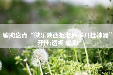 辅助盘点“微乐陕西捉老麻子开挂神器”开挂(透视)辅助