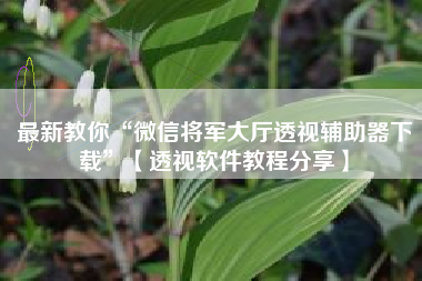 最新教你“微信将军大厅透视辅助器下载”【透视软件教程分享】