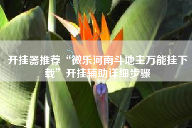 开挂器推荐“微乐河南斗地主万能挂下载”开挂辅助详细步骤