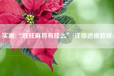 实测!“旺旺麻将有挂么”(详细透视教程) 实测!“旺旺麻将有挂么”(详细透视教程)