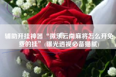 辅助开挂神器“微乐云南麻将怎么开免费的挂”(曝光透视必备猫腻)