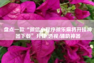 盘点一款“微信小程序微乐麻将开挂神器下载”开挂(透视)辅助神器