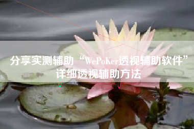分享实测辅助“WePoKer透视辅助软件”详细透视辅助方法 分享实测辅助“WePoKer透视辅助软件”详细透视辅助方法