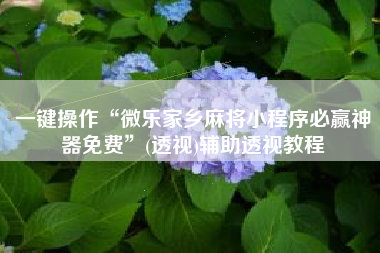 一键操作“微乐家乡麻将小程序必赢神器免费”(透视)辅助透视教程 一键操作“微乐家乡麻将小程序必赢神器免费”(透视)辅助透视教程