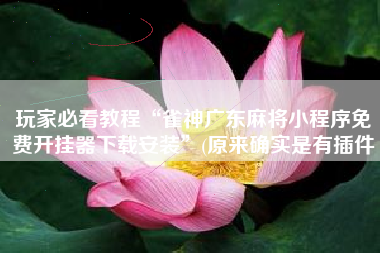 玩家必看教程“雀神广东麻将小程序免费开挂器下载安装”(原来确实是有插件