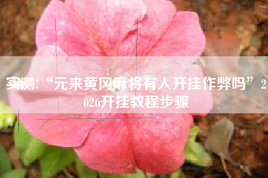 实测!“元来黄冈麻将有人开挂作弊吗”2026开挂教程步骤