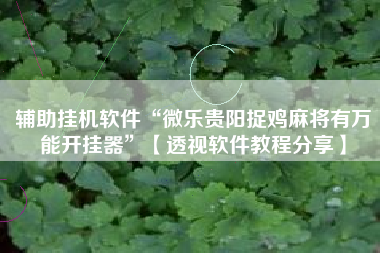 辅助挂机软件“微乐贵阳捉鸡麻将有万能开挂器”【透视软件教程分享】