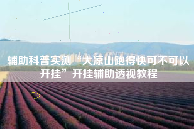 辅助科普实测“大凉山跑得快可不可以开挂”开挂辅助透视教程 辅助科普实测“大凉山跑得快可不可以开挂”开挂辅助透视教程