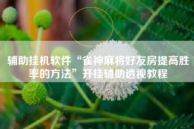 辅助挂机软件“雀神麻将好友房提高胜率的方法”开挂辅助透视教程