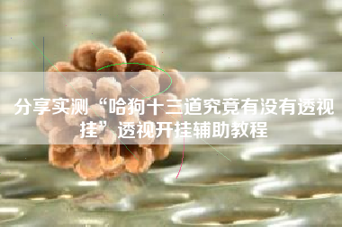 分享实测“哈狗十三道究竟有没有透视挂”透视开挂辅助教程 分享实测“哈狗十三道究竟有没有透视挂”透视开挂辅助教程