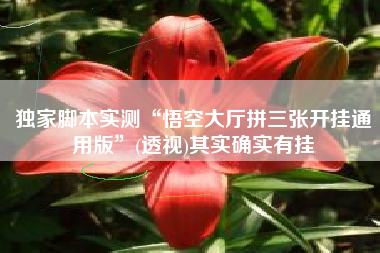 独家脚本实测“悟空大厅拼三张开挂通用版”(透视)其实确实有挂