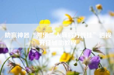 助赢神器“微乐二人麻将万能挂”透视开挂辅助教程