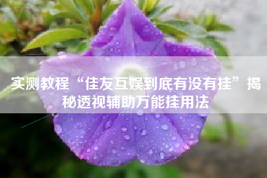 实测教程“佳友互娱到底有没有挂”揭秘透视辅助万能挂用法 实测教程“佳友互娱到底有没有挂”揭秘透视辅助万能挂用法