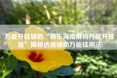 万能开挂辅助“微乐海南麻将万能开挂器”揭秘透视辅助万能挂用法