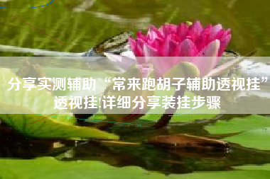 分享实测辅助“常来跑胡子辅助透视挂”透视挂!详细分享装挂步骤