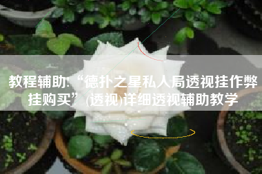 教程辅助!“德扑之星私人局透视挂作弊挂购买”(透视)详细透视辅助教学