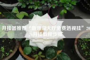 开挂器推荐“新珊瑚大厅免费透视挂”2026开挂教程步骤