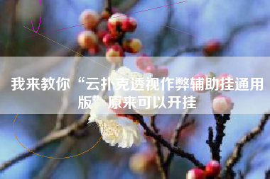 我来教你“云扑克透视作弊辅助挂通用版”原来可以开挂