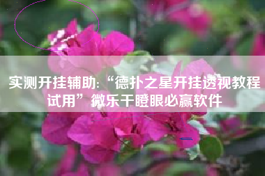 实测开挂辅助:“德扑之星开挂透视教程试用”微乐干瞪眼必赢软件 实测开挂辅助:“德扑之星开挂透视教程试用”微乐干瞪眼必赢软件