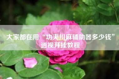 大家都在用“功夫川麻辅助器多少钱”透视开挂教程