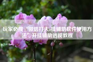 玩家必搜“微信打大a挂辅助软件使用方法”开挂辅助透视教程 玩家必搜“微信打大a挂辅助软件使用方法”开挂辅助透视教程