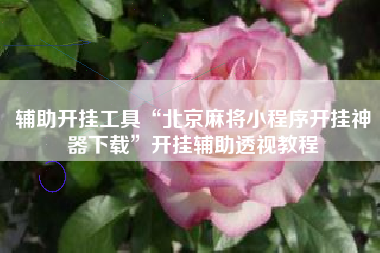 辅助开挂工具“北京麻将小程序开挂神器下载”开挂辅助透视教程