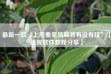 最新一款“上燕秦皇岛麻将有没有挂”【透视软件教程分享】