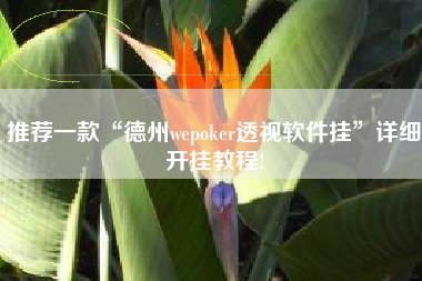 推荐一款“德州wepoker透视软件挂”详细开挂教程! 推荐一款“德州wepoker透视软件挂”详细开挂教程!