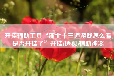 开挂辅助工具“浙北十三道游戏怎么看是否开挂了”开挂(透视)辅助神器