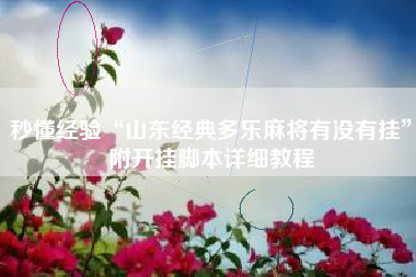 秒懂经验“山东经典多乐麻将有没有挂”附开挂脚本详细教程