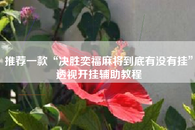 推荐一款“决胜奕福麻将到底有没有挂”透视开挂辅助教程