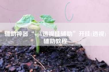 辅助神器“wpk透视挂辅助”开挂(透视)辅助教程