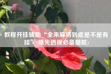 教程开挂辅助“全来麻将到底是不是有挂”(曝光透视必备猫腻)