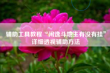 辅助工具教程“闲逸斗地主有没有挂”详细透视辅助方法 辅助工具教程“闲逸斗地主有没有挂”详细透视辅助方法