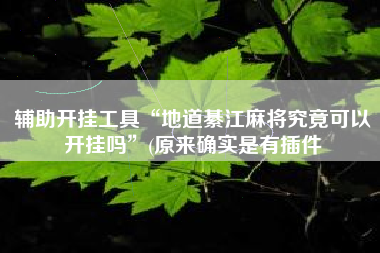 辅助开挂工具“地道綦江麻将究竟可以开挂吗”(原来确实是有插件