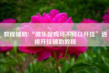 教程辅助!“微乐捉鸡可不可以开挂”透视开挂辅助教程 教程辅助!“微乐捉鸡可不可以开挂”透视开挂辅助教程